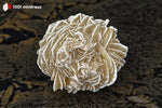 Rose des sables du Mexique (sphère unique cristallisée, arêtes blanches) - 88 g / BD710 - Vignette | 1001 minéraux