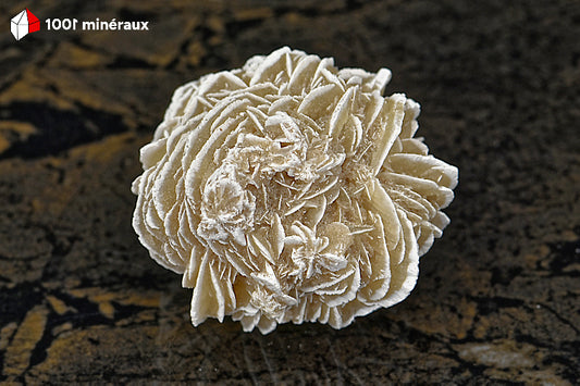 Rose des sables du Mexique - Vue d'ensemble de la sphère unique cristallisée gris-beige - 88 g - BD710
