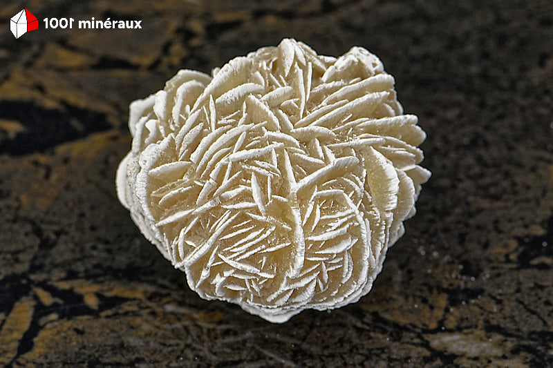 Rose des sables du Mexique - Vue d'ensemble de la sphère aux arêtes blanches - 88 g - BD710
