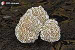 Rose des sables du Mexique (3 sphères cristallisées, arêtes blanches) - 79 g / BD711 - Vignette | 1001 minéraux