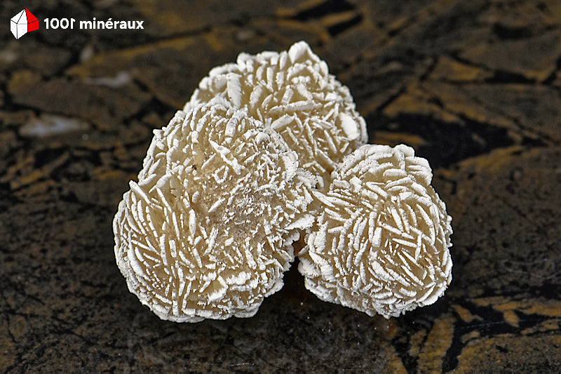 Rose des sables du Mexique - Vue d'ensemble des 3 sphères cristallisées gris-beige - 79 g - BD711
