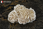 Rose des sables du Mexique (2 sphères cristallisées, arêtes blanches) - 57 g / BD712 - Vignette | 1001 minéraux