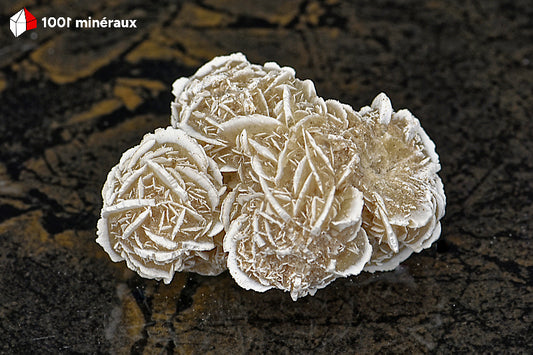 Rose des sables du Mexique - Vue d'ensemble des 2 sphères cristallisées gris-beige - 57 g - BD712
