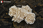 Rose des sables du Mexique (2 sphères cristallisées, arêtes blanches) - 57 g / BD712 - Vignette | 1001 minéraux