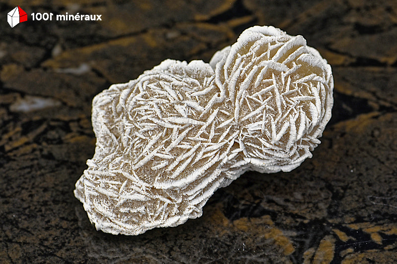 Rose des sables du Mexique - Vue d'ensemble des 2 sphères cristallisées gris-beige - 71 g - BD713
