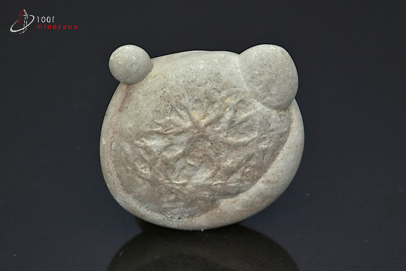 Minéral but de pierre des fées du Canada