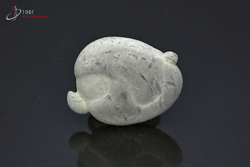 Minéral brut de pierre des fées grise du Canada