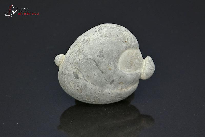 Minéral brut de pierre des fées grise du Canada