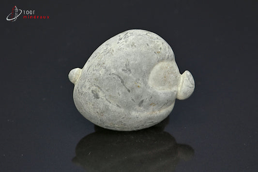 Minéral brut de pierre des fées grise du Canada