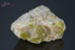 Pyromorphite verte - France - minéraux à cristaux 5,6 cm / 58g / BE253 - Vignette | 1001 minéraux