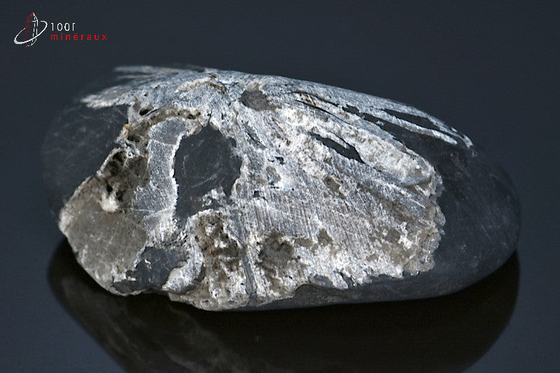 Minéral poli de chrysanthem stone de Chine