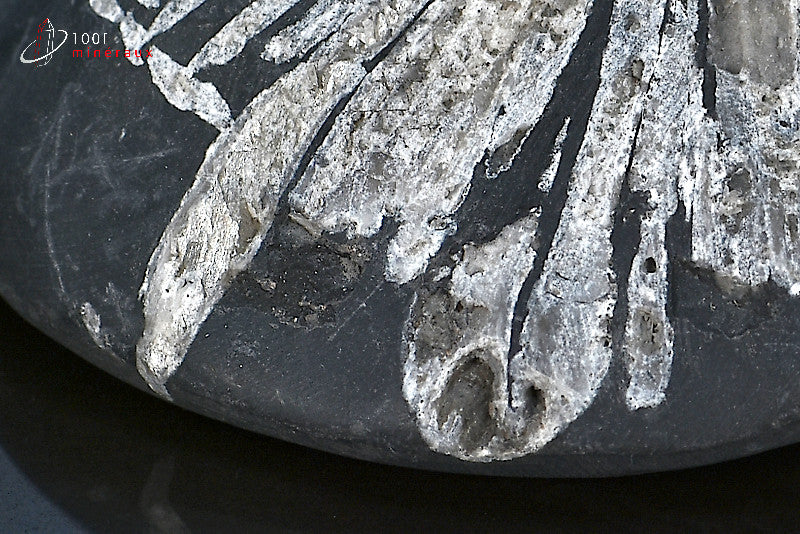 Minéral poli de chrysanthem stone de Chine