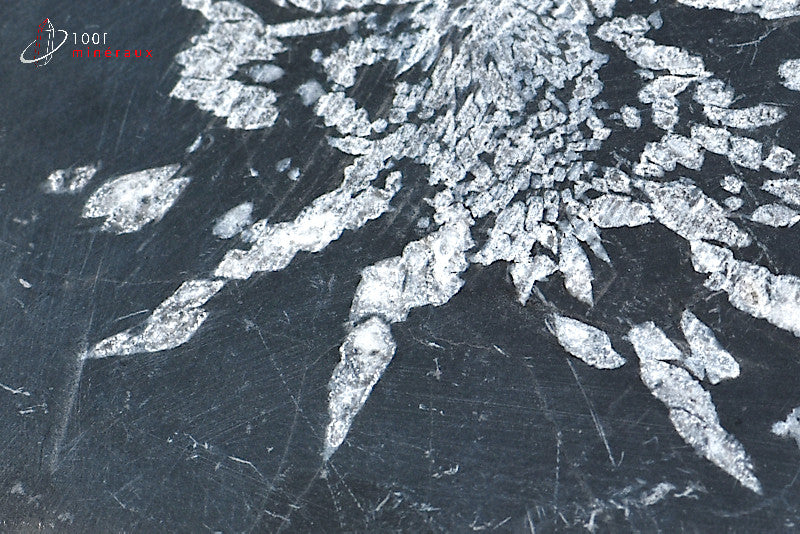 Minéral poli de chrysanthem stone de Chine
