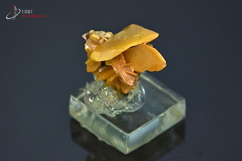 Minéral cristallisé de wulfénite du Maroc