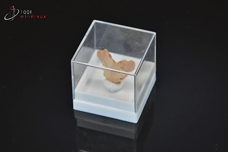 Minéral cristallisé de quartz avec macle du Japon de Madagascar