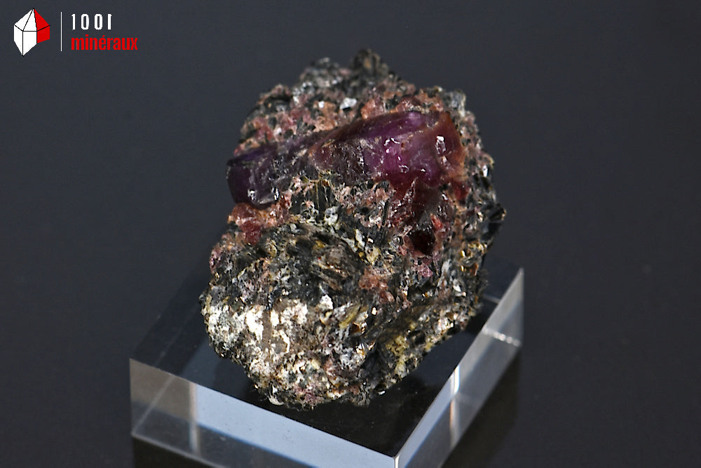 Minéral de rubis violet sur gangue de biotite de Madagascar