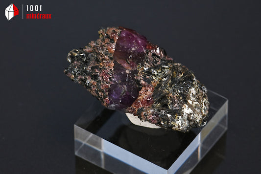 Minéral de rubis violet sur gangue de biotite de Madagascar