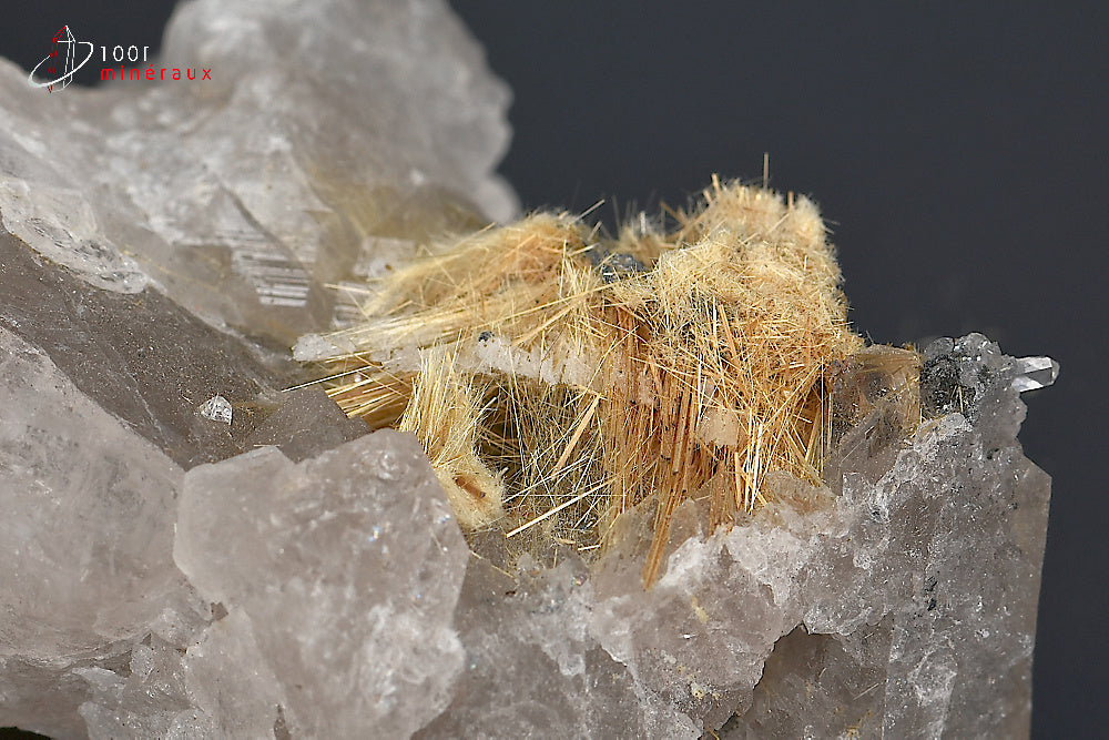 Minéral cristallisé de rutile sur quartz du Brésil