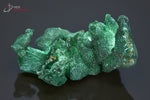 Malachite soyeuse - R.D.Congo - minéraux à cristaux 6 cm / 62g / BE377 - Vignette | 1001 minéraux