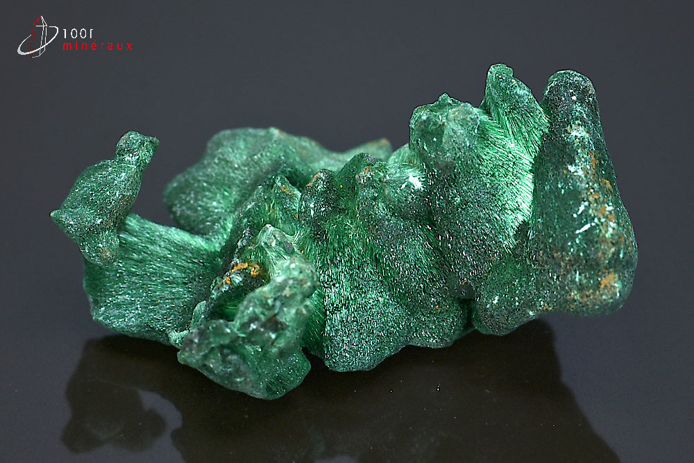 Minéral de malachite soyeuse cristallisée verte de République démocratique du Congo