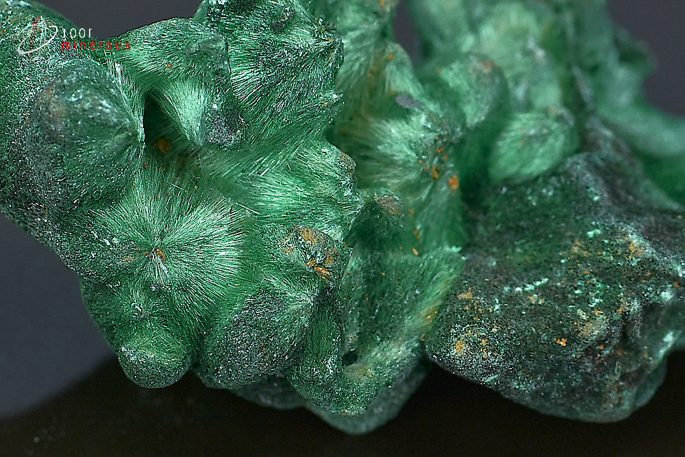 Minéral de malachite soyeuse cristallisée verte de République démocratique du Congo