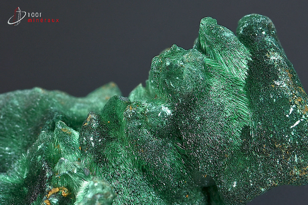Minéral de malachite soyeuse cristallisée verte de République démocratique du Congo