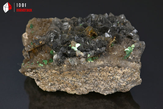 Minéral cristallisé de quartz morion et torbernite de France