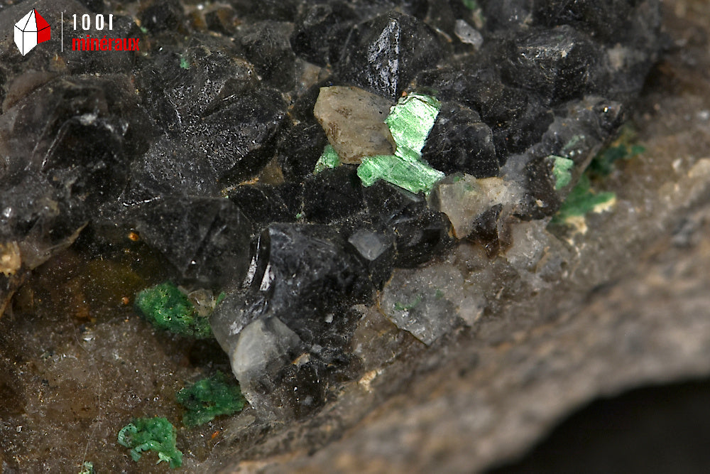 Minéral cristallisé de quartz morion et torbernite de France