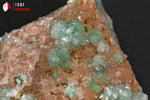 Malachite et Gypse cristallisé - Maroc - minéraux à cristaux 5 cm / 28g / BE388 - Vignette | 1001 minéraux