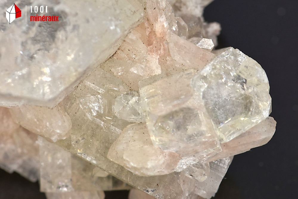 Minéral cristallisé d'apophyllite translucide et stilbite d'Inde