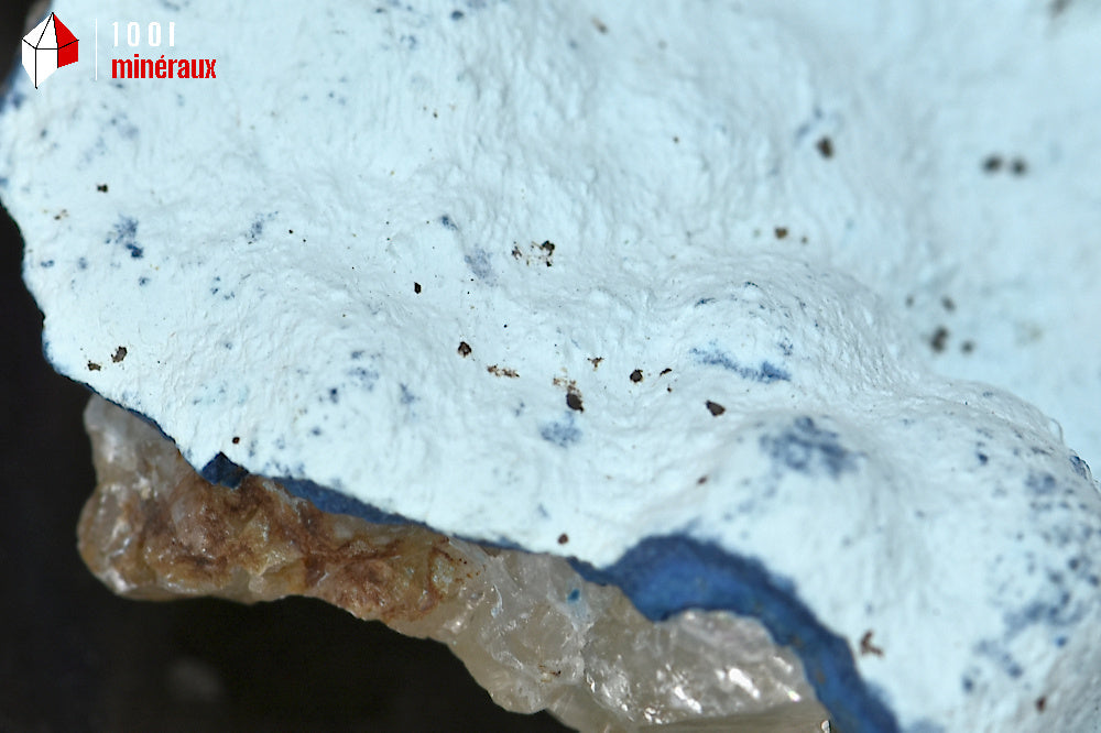 Minéral cristallisé de chrysocolle et shattuckite du république démocratique du Congo