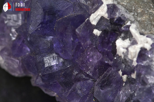Minéral cristallisé de fluorine violette d'Espagne