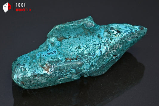 Minéral poli de chrysocolle de République démocratique du Congo
