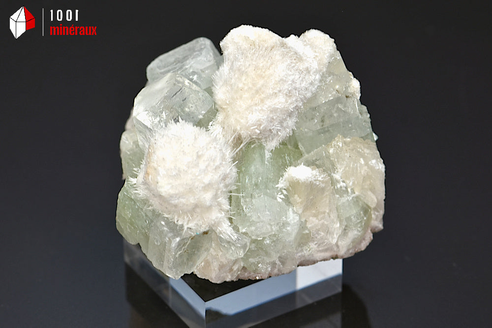 Minéral cristallisé d'apophyllite verte et de mordénite d'Inde