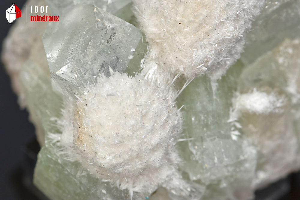 Minéral cristallisé d'apophyllite verte et de mordénite d'Inde