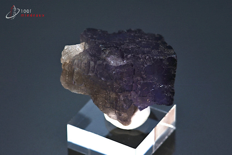 Minéral cristallisé de fluorine violette du Mexique