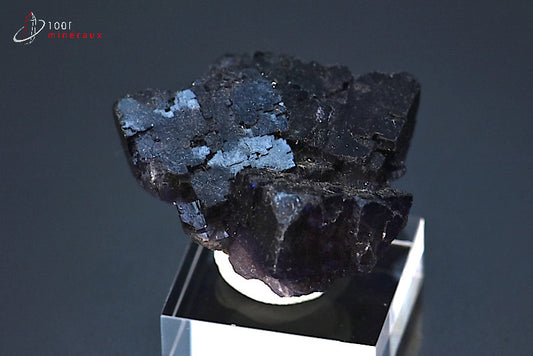 Minéral cristallisé de fluorine violette du Mexique