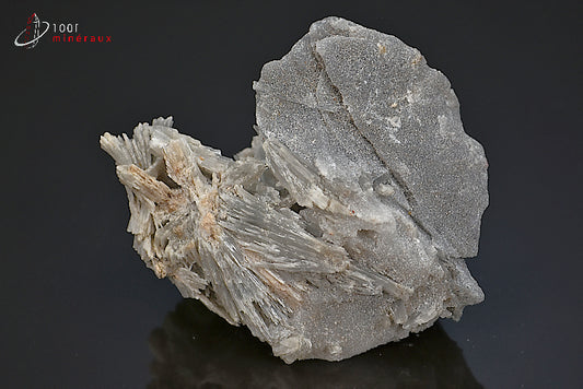 Minéral cristallisé de wollastonite grise de Madagascar