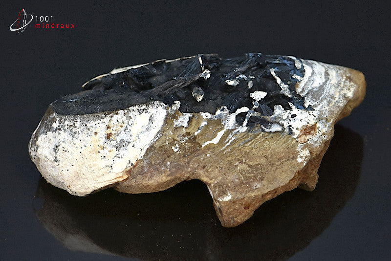 Minéral cristallisé de vivianite de Russie