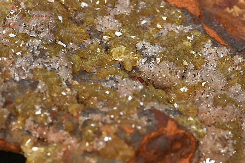 Minéral cristallisé d'adamite verte sur limonite du Mexique
