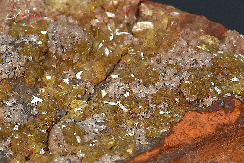 Minéral cristallisé d'adamite verte sur limonite du Mexique