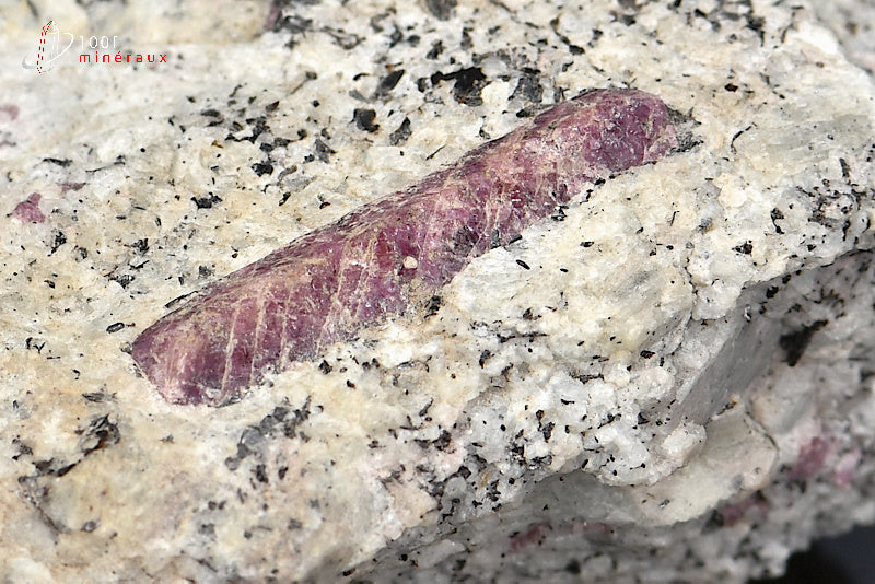 MInéral cristallisé de rubis sur roche de Madagascar