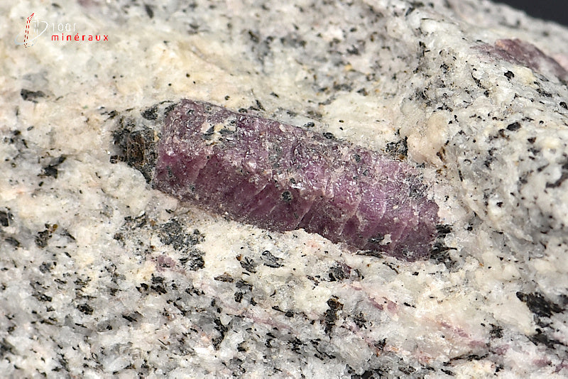 MInéral cristallisé de rubis sur roche de Madagascar