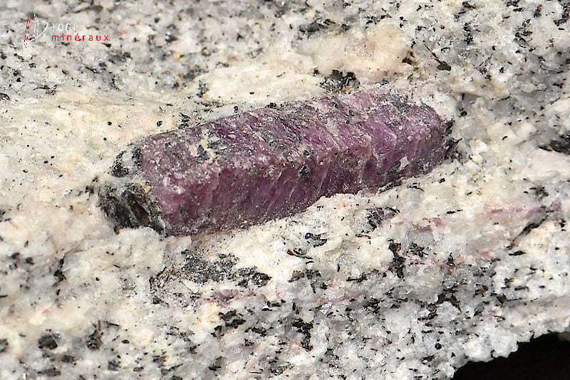 MInéral cristallisé de rubis sur roche de Madagascar