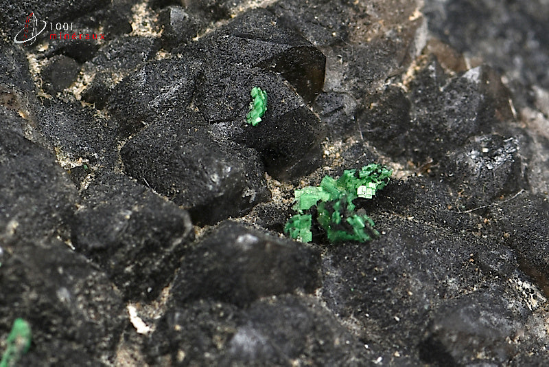 Minéral cristallisé de quartz morion et torbernite