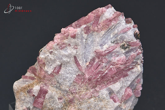 Minéral cristallisé de rubellite ou tourmaline rose des Etats-Unis