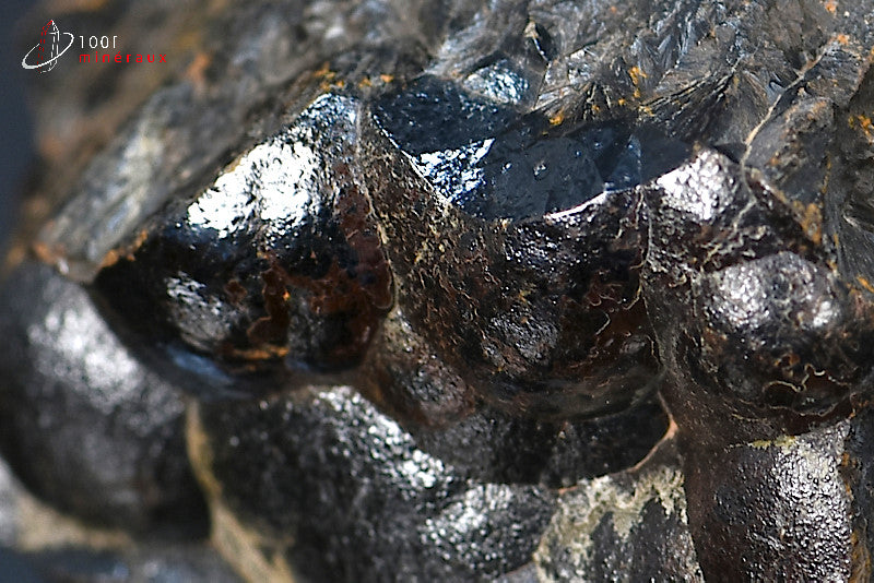 Minéral cristallisé d'hématite mamelonnée du Maroc