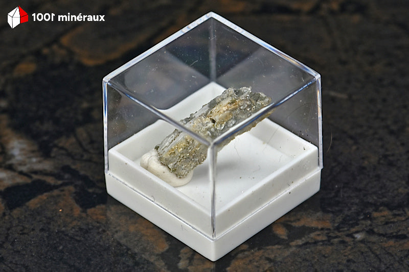 Scapolite de France (Ariège) - Cristal prismatique 2 cm en boîtier - BE870-2