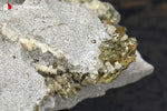 Scapolite et Pyrite sur Gypse - France / Ariège - 120 g / BE870 - Vignette | 1001 minéraux