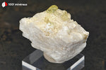 Brazilianite sur Albite du Brésil - 37 g / BE873 - Vignette | 1001 minéraux
